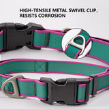 Fashionable New Tactical Collar Allows You To Better Control Your Beloved Dog — stylish strength for everyday walks