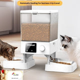 Automatic Cat Feeder With Dual Bowls – smart, scheduled, and stress‑free feeding