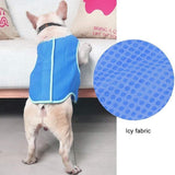 Dog Summer Cooling Vest – Keep Your Pet Cool and Comfortable