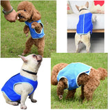 Dog Summer Cooling Vest – Keep Your Pet Cool and Comfortable
