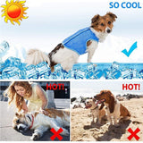 Dog Summer Cooling Vest – Keep Your Pet Cool and Comfortable