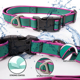Fashionable New Tactical Collar Allows You To Better Control Your Beloved Dog — stylish strength for everyday walks