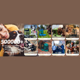 Lassot Portable Pull‑out Water Bowl For Dogs – hydration on the go made simple