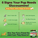 Youmile - Hip & Joint Health Supplement For Dogs — premium daily support for mobility and comfort