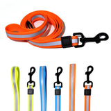 Reflective Leash Set — safety and style for every outdoor outing