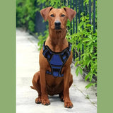 Tactical Service Dog Harness Strap Set, Car Seat Belt, Collapsible Bowl, Biodegradable Trash Bag Set For Dogs — all-in-one gear for safety, training, and adventure