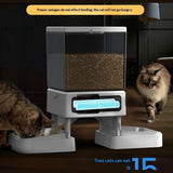 Automatic Cat Feeder With Dual Bowls – smart, scheduled, and stress‑free feeding