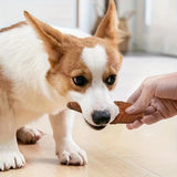 Dog Pet-Shaped Chicken Wrapped In Rawhide Chewy Natural Meat Snack — tasty, long-lasting treat for all breeds