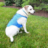 Dog Summer Cooling Vest – Keep Your Pet Cool and Comfortable