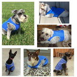 Dog Summer Cooling Vest – Keep Your Pet Cool and Comfortable