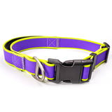 Fashionable New Tactical Collar Allows You To Better Control Your Beloved Dog — stylish strength for everyday walks