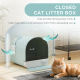 Fully Enclosed Cat Litter Box with Lid & Drawer Design – Green