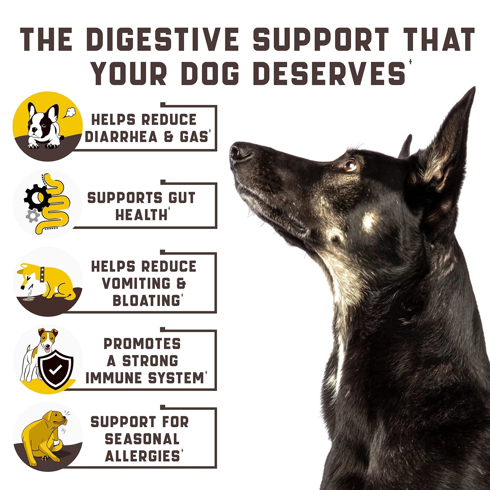 Kinpur Pet Care - Probiotics For Dogs — daily digestive and immune support your dog will enjoy
