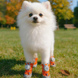 LED Light-Up Anti-Slip Paw Protectors for Small & Medium Dogs