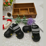 Pet Shoes Wear Dog Shoes – Protection and Comfort for Every Step