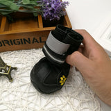 Pet Shoes Wear Dog Shoes – Protection and Comfort for Every Step