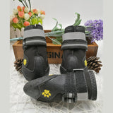 Pet Shoes Wear Dog Shoes – Protection and Comfort for Every Step