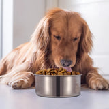 Stainless Steel Dog Bowl Pets Hanging Food Bowl – sturdy, space‑saving, and easy to use