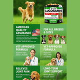 Youmile - Hip & Joint Health Supplement For Dogs — premium daily support for mobility and comfort