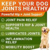 Youmile - Hip & Joint Health Supplement For Dogs — premium daily support for mobility and comfort
