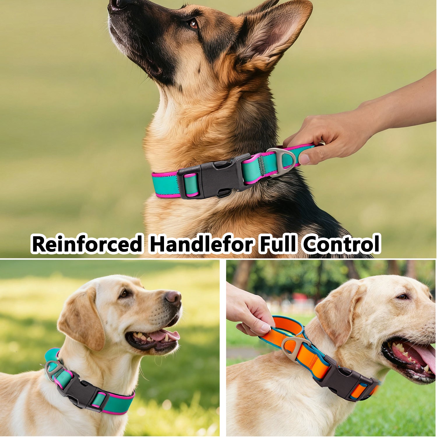 Fashionable New Tactical Collar Allows You To Better Control Your Beloved Dog — stylish strength for everyday walks