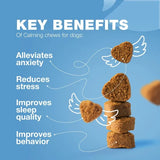 Chewia - Hemp Calming Chews For Dogs Dog Calming Treats Anxiety Relief For Dogs — natural relaxation support in a tasty chew